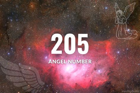 205 twin flame|Understanding the meaning of angel number 205 in。